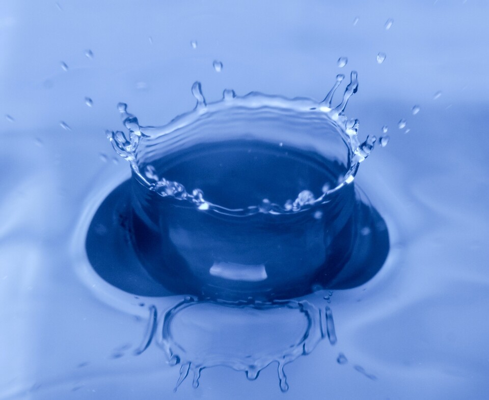 mulyadi yxlcGAdI9R8 unsplash v3